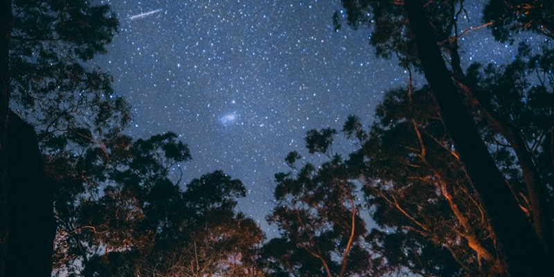 一家人在湖畔使用BB贝博艾弗森露营装备享受宁静夜晚的温馨场景